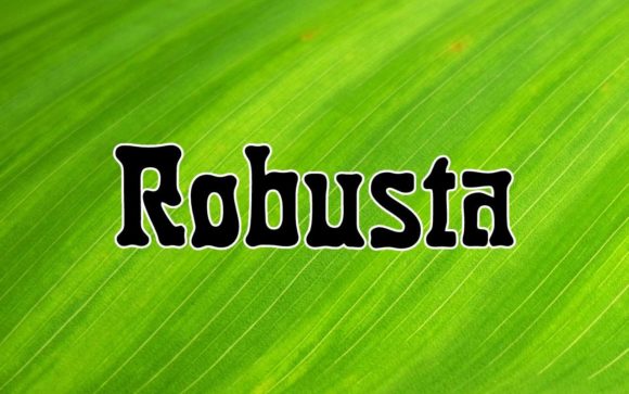 Robusta: A Stunning Font to Elevate Your Creative Projects